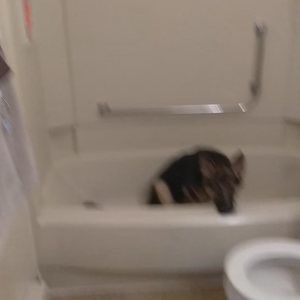 Meet your Posher, Dale